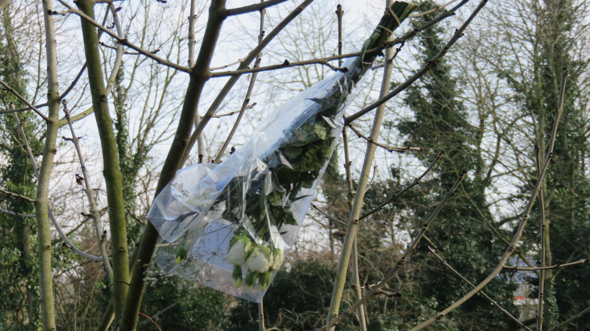 One bouquet was found in a tree