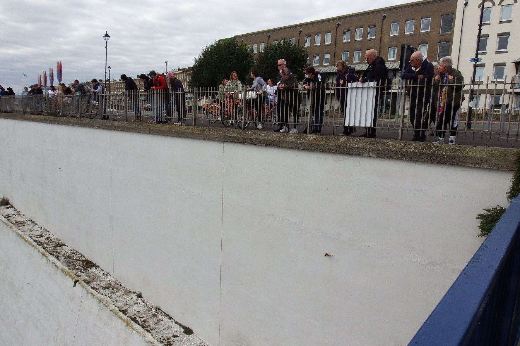 Crowds watch as a cat is rescued in Ramsgate. Picture: Mike Pett