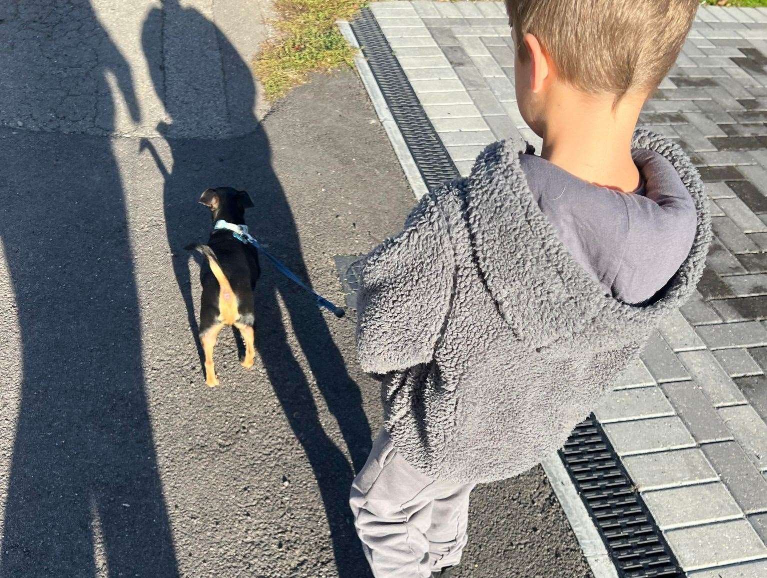 Four-year-old Addison loved walking dog Milo