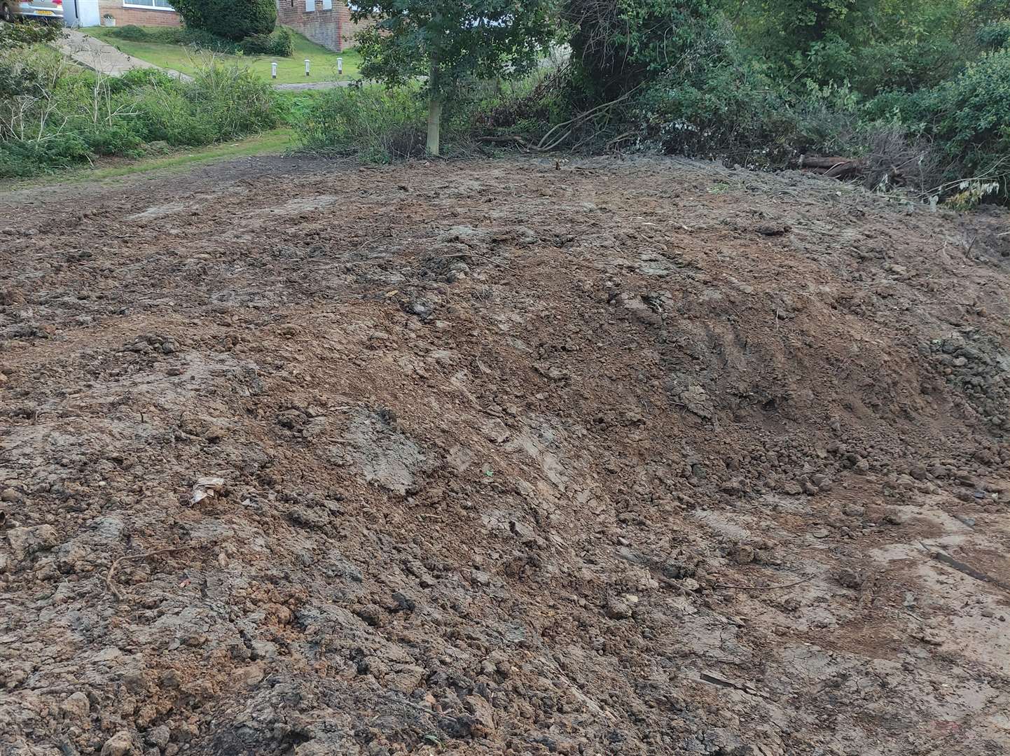 Conditions at The Glen have been described as "appalling". Picture: David Kelly