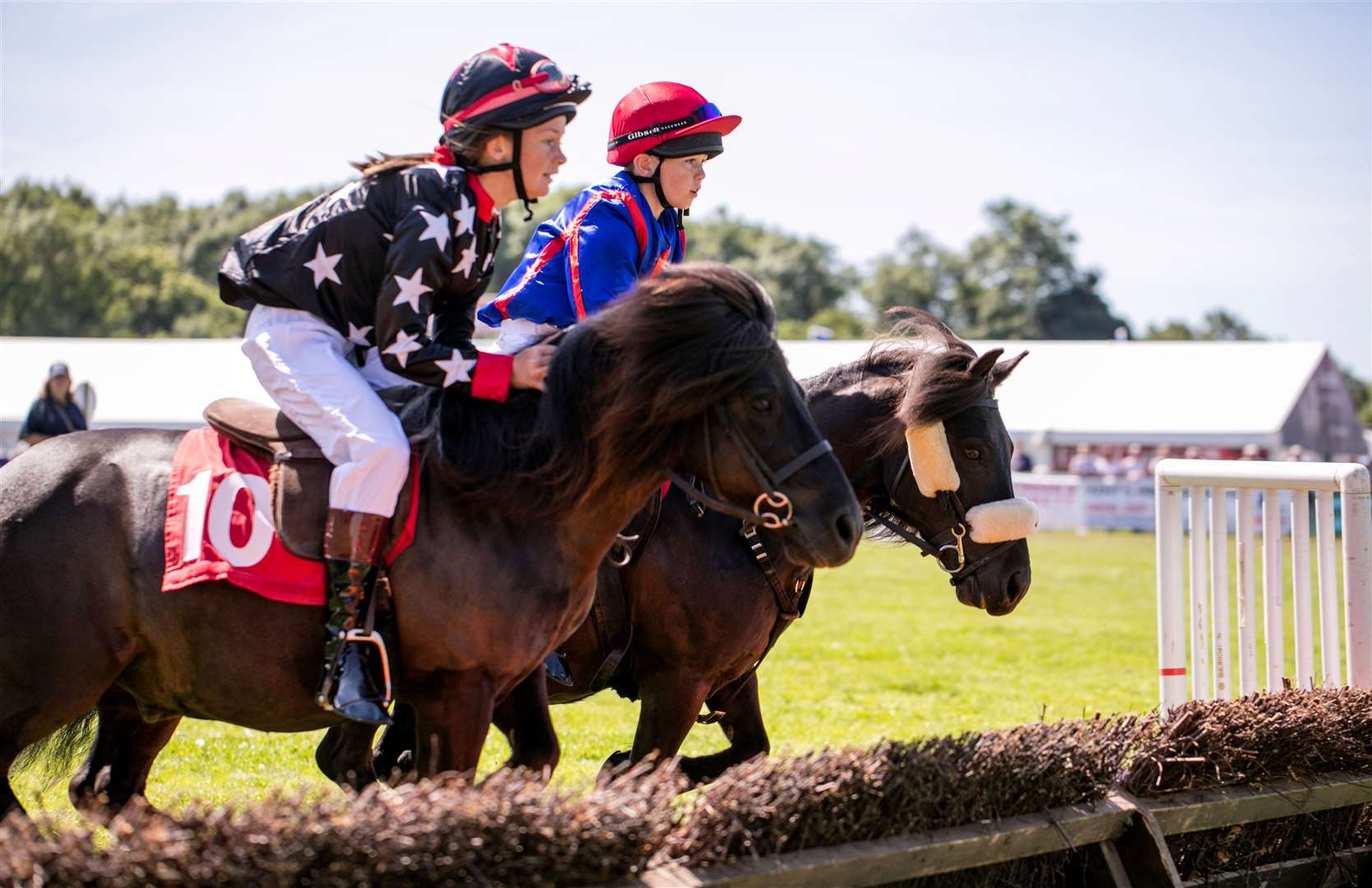 The Kent County Show returns for its 100th anniversary this July. Picture: KCAS