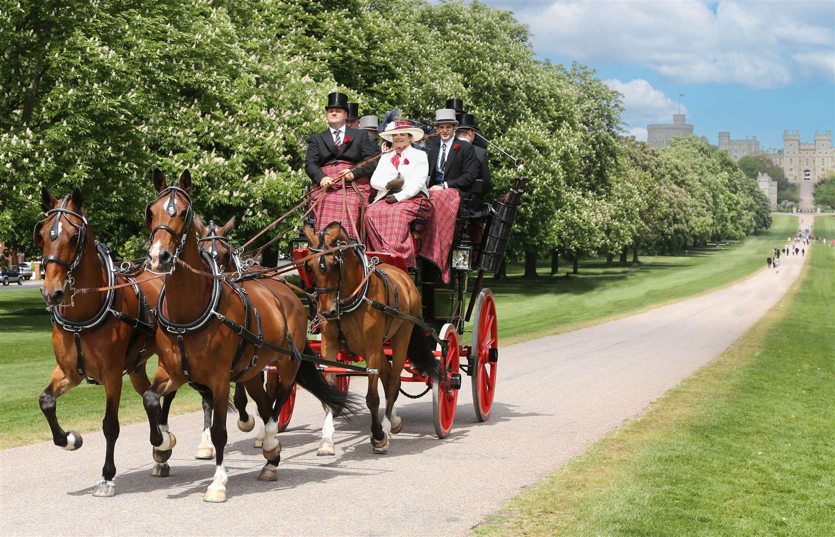 Michael Malone is a carriage driver from Brenchley. Picture: Paul Orchard