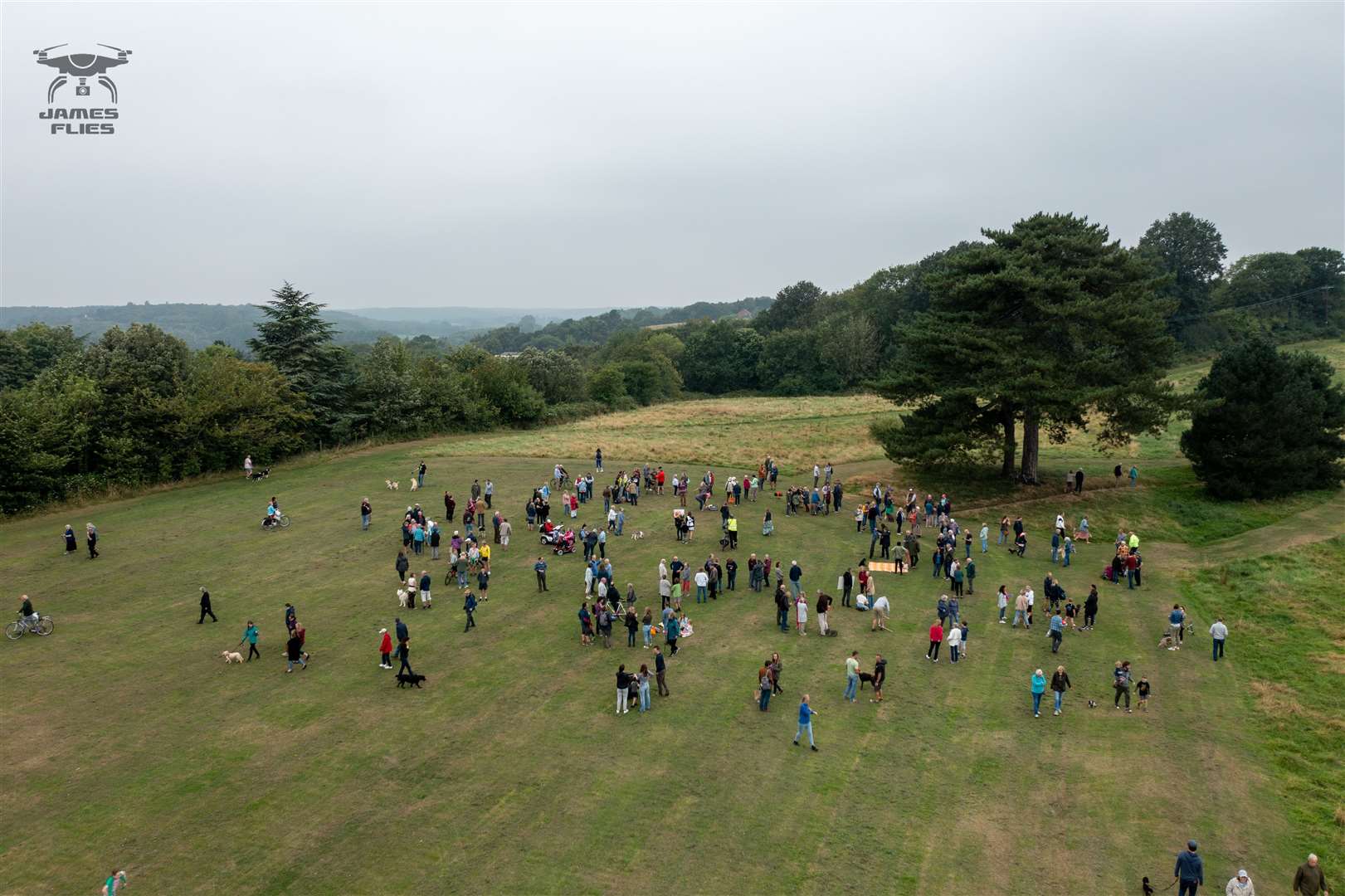 The meadow is a favourite walking spot. Photo: James Flies from Aerial Solutions