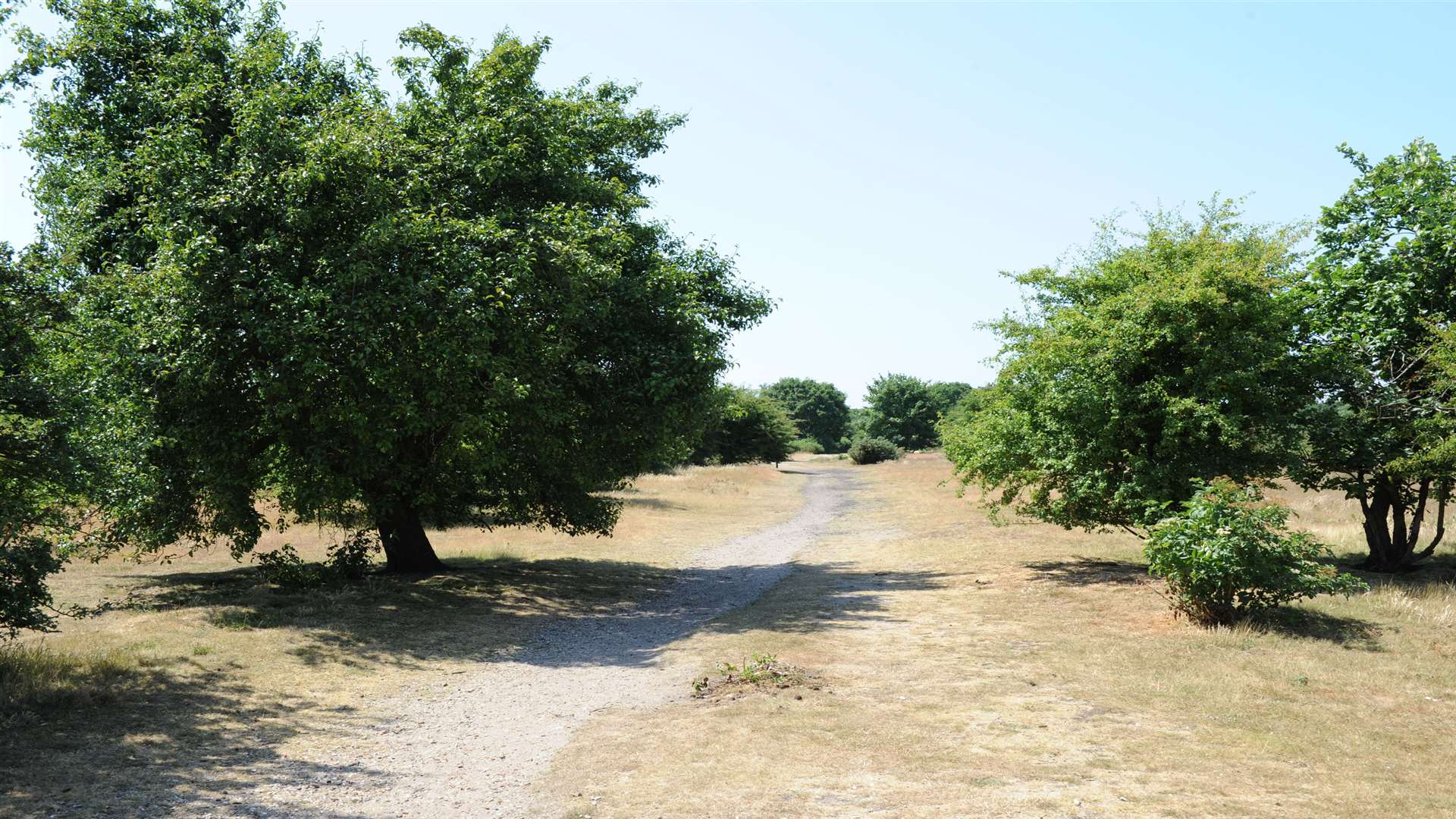 Dartford Heath.