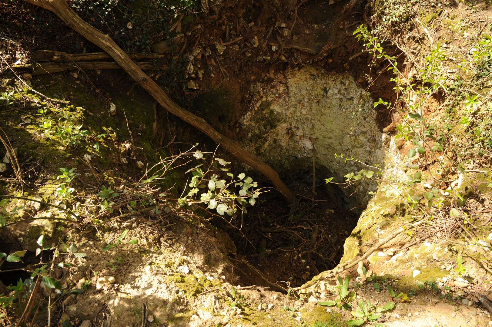 A dene hole in woods near the services on the M2