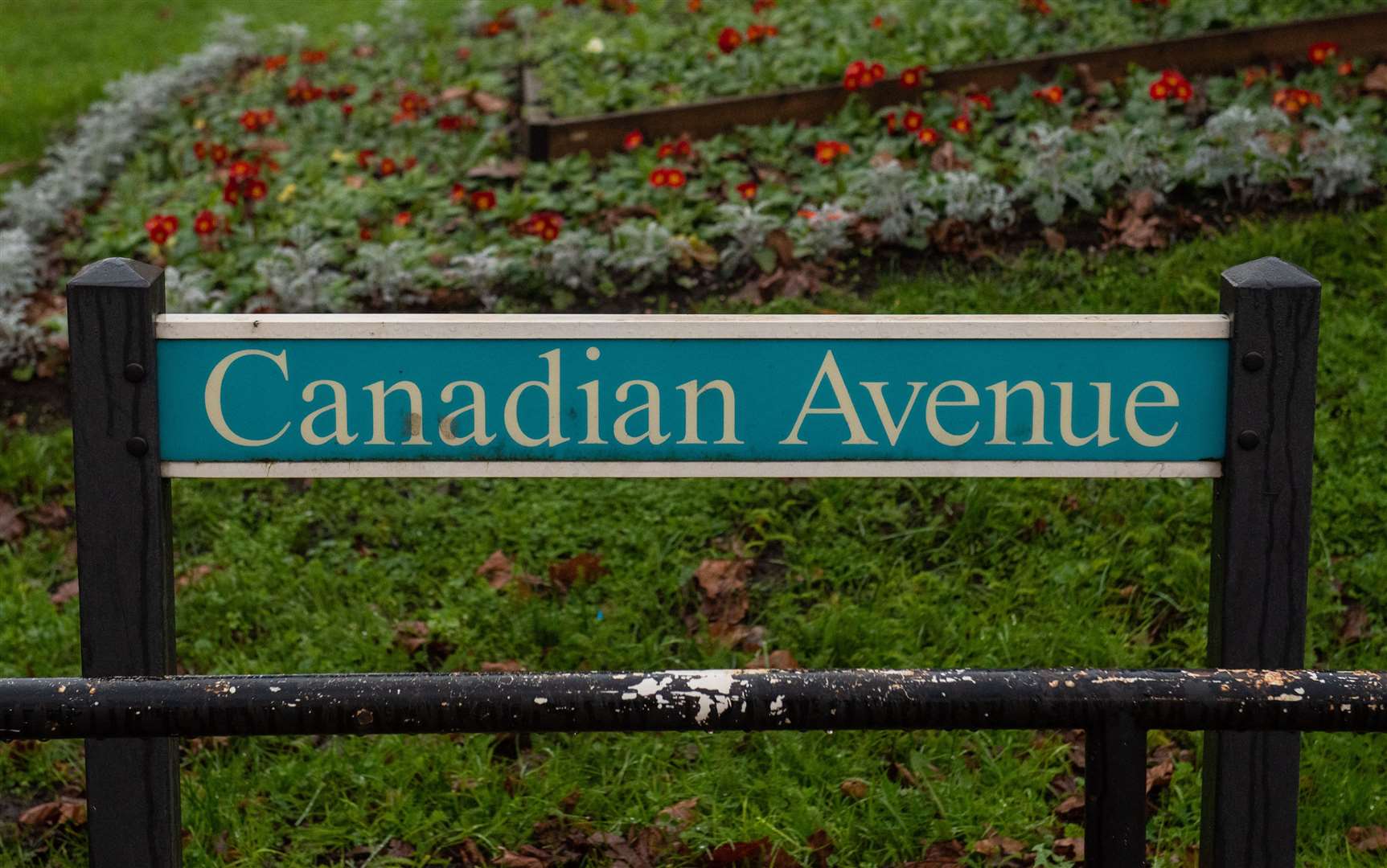 Canadian Avenue in Catford (Dominic Lipinski/PA)