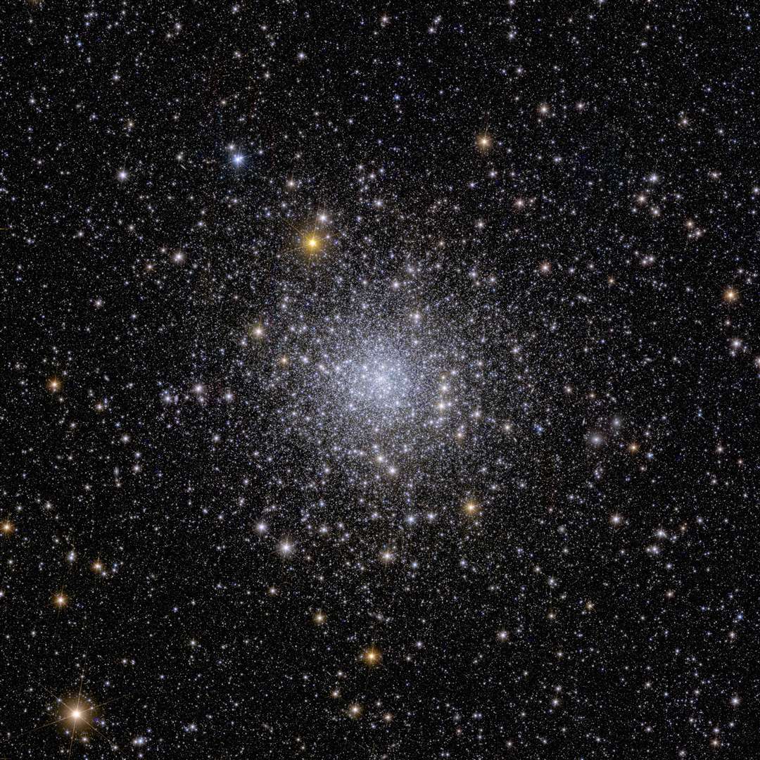 Euclid’s view of globular cluster NGC 6397 (ESA/Euclid/Euclid Consortium/Nasa)