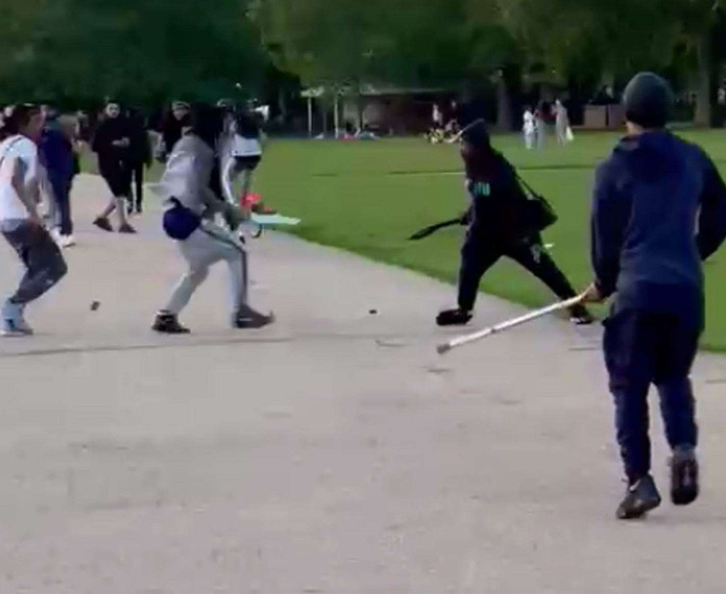 Disorder in Hyde Park (Met Police/PA)