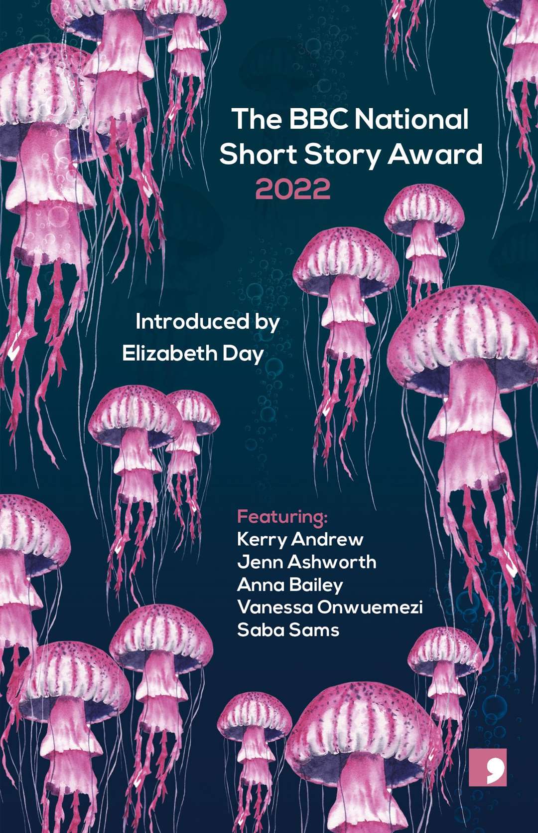 BBC National Short Story Award 2022 (BBC/PA)