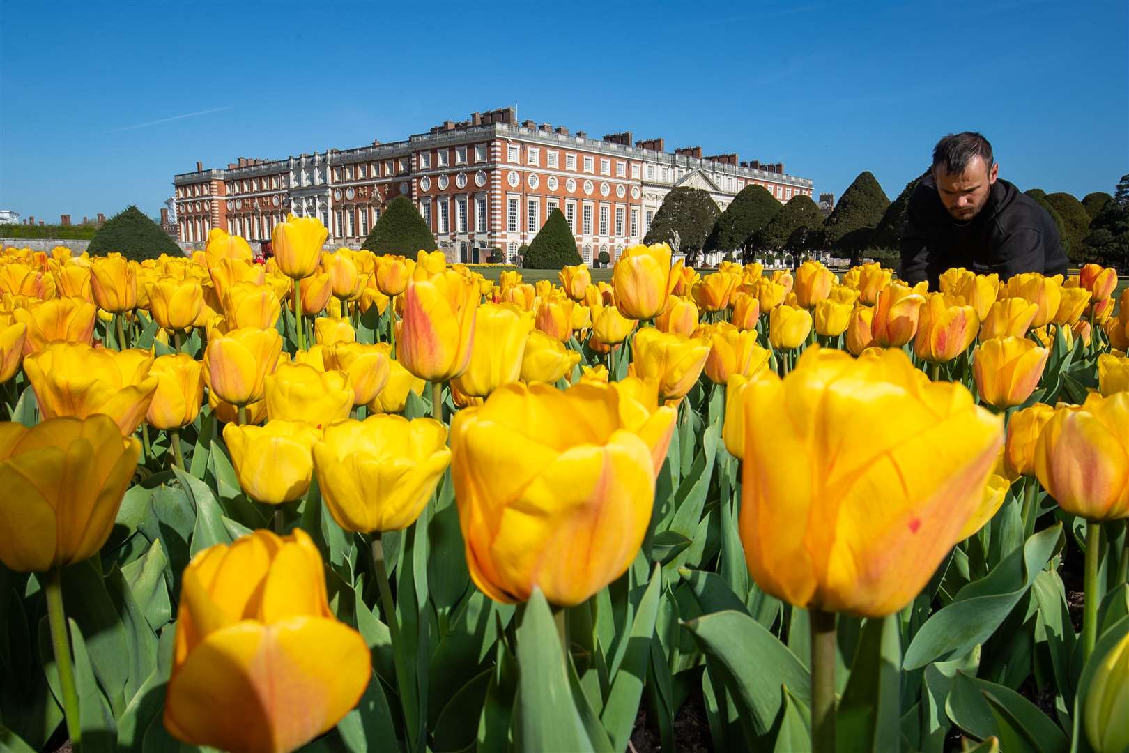 The flower show at Hampton Court in July will go ahead with additional safety measures (Aaron Chown/PA)