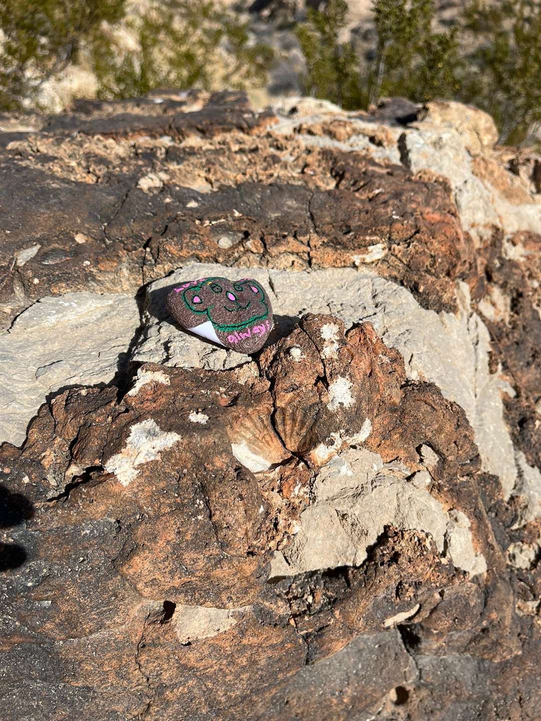 A rock for Griff Barnes at the Red Rock Canyon outside Las Vegas (Shona Rust/PA)