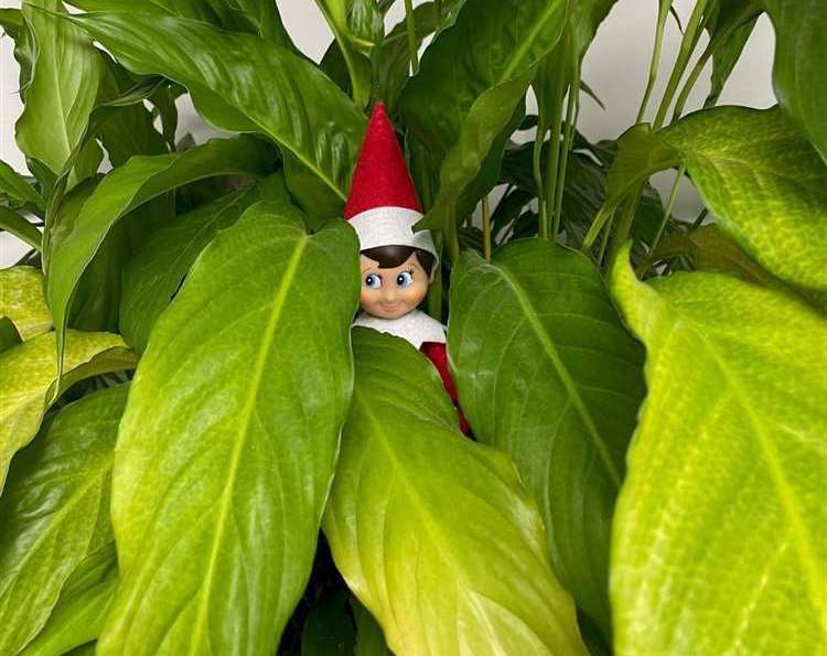 Elf on the Shelf ideas for Christmas 2023