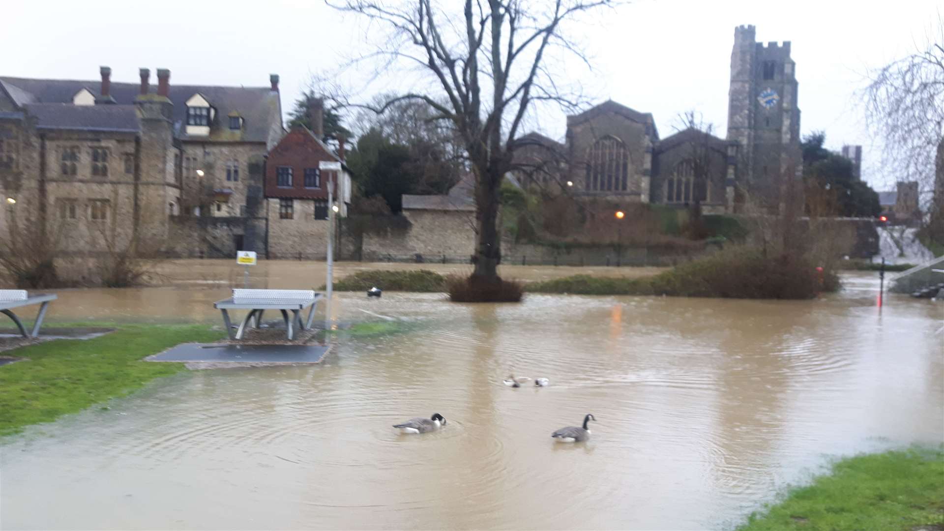 The River Medway is exceptionally high in Maidstone