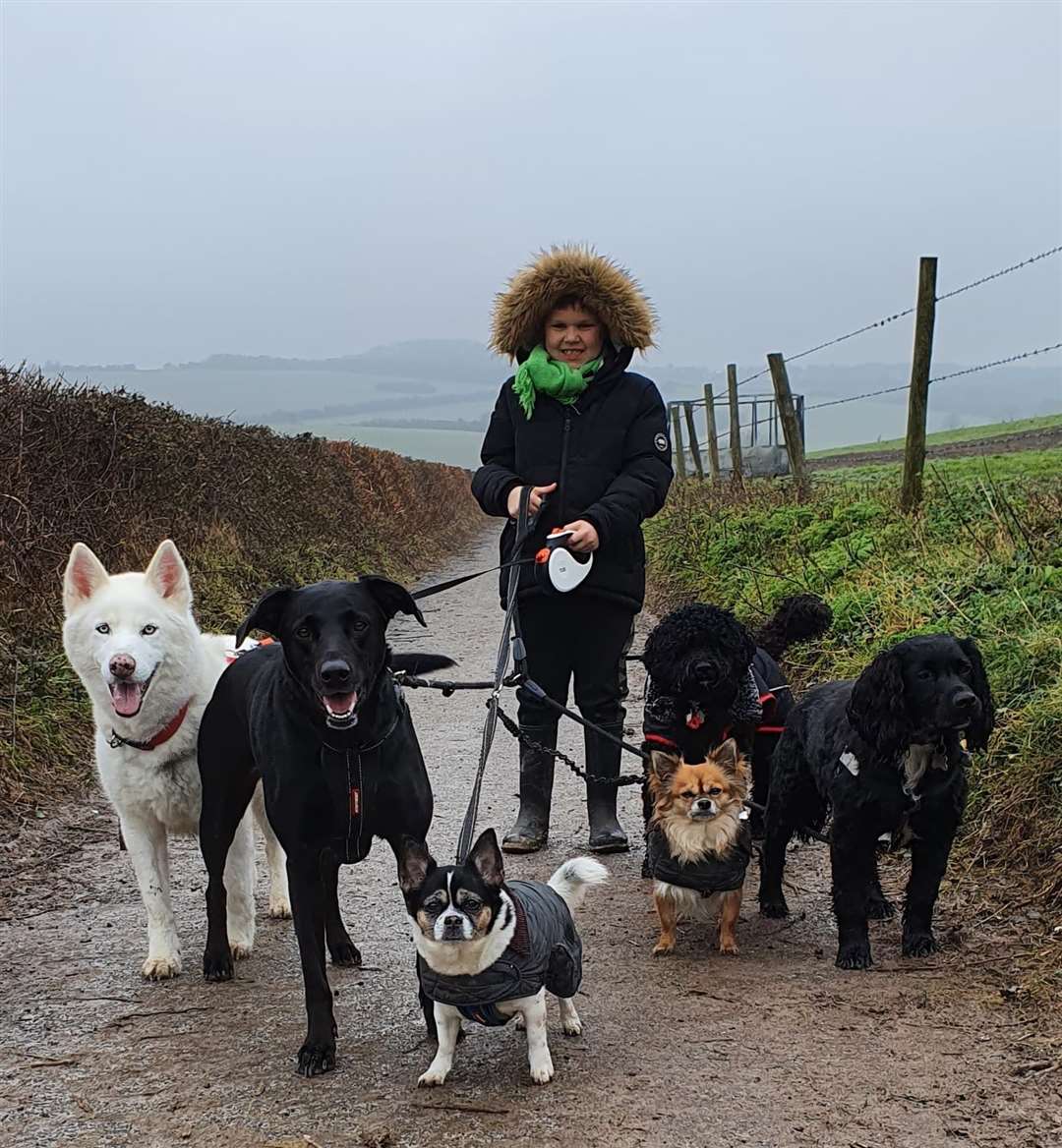 Time for walkies: Freddie loved walking with the dogs his mum looks after