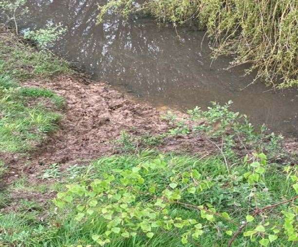 Parts of Deangate Ridge Pond have eroded due to dogs going in and out the water