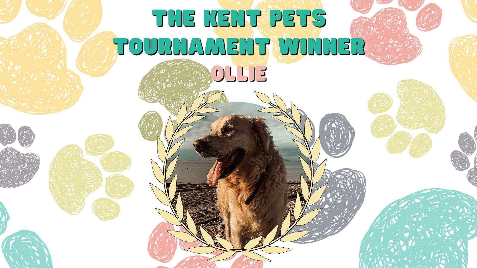 Ollie has won July's Kent Pets Tournament