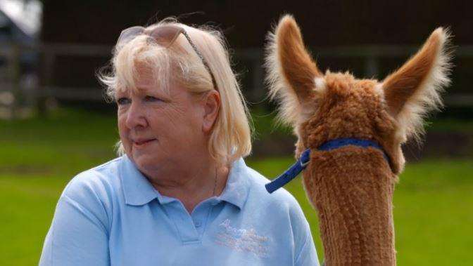 Annie Clifton-Holt with one of her alpacas. Credit: 5 STAR (3732183)