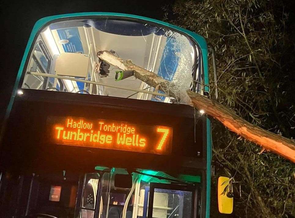 A huge tree branch pierced through a double-decker bus headed for Tunbridge Wells. Picture: Mick Gould Commercials Ltd