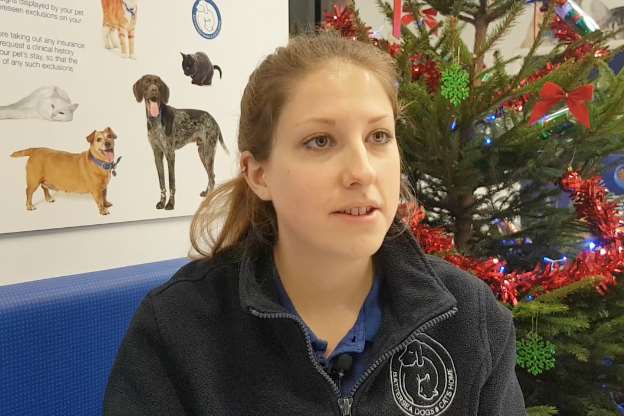 Rehoming and Welfare Assistant, Beth Stevenson at the Brands Hatch centre