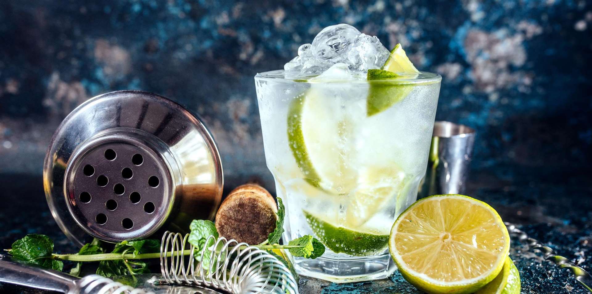 A gin tonic alcoholic cocktail with ice and mint. A taste of summer!