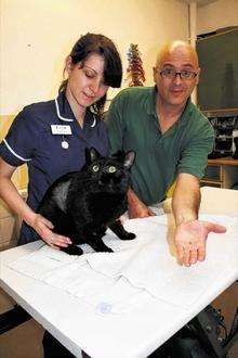 Freddie’s scar after surgery with head nurse Kyra Sears and vet Andrea Susanna