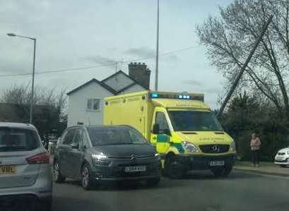 The car hit a telegraph pole