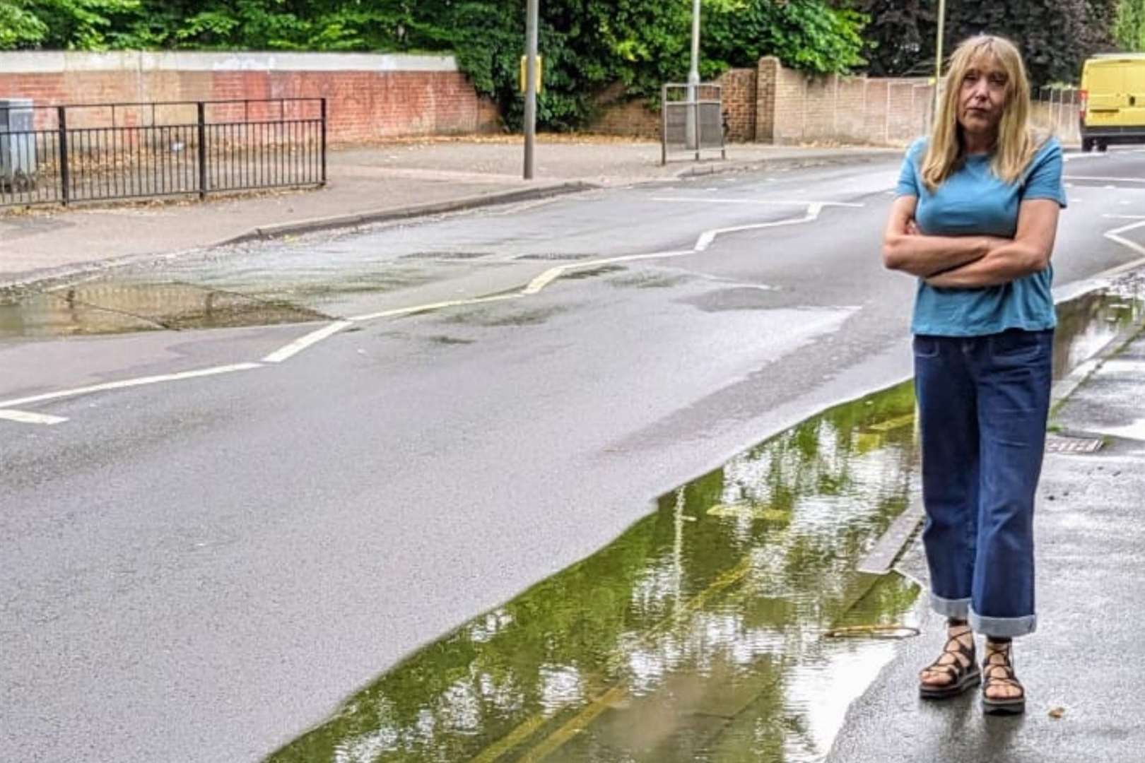 Resident Karen Evans fears this leak has seen a "terrific waste of water"