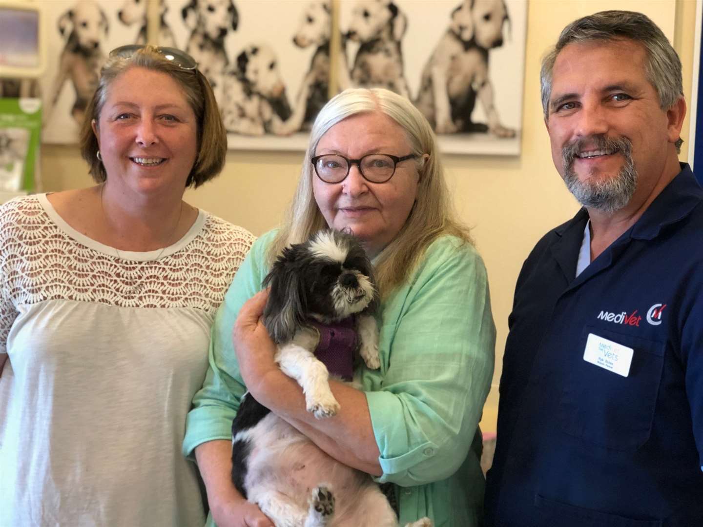 Medivet in Faversham gives Poppet the shih tzu a new jaw