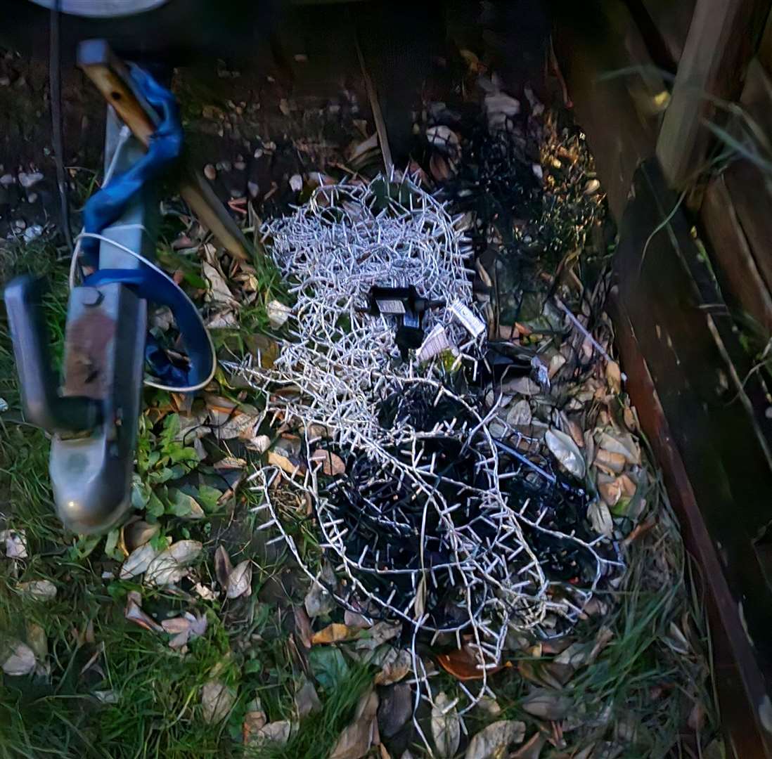 Around 2,000 bulbs were cut down from the property in St Mary's Bay. Picture: Stuart Leslie