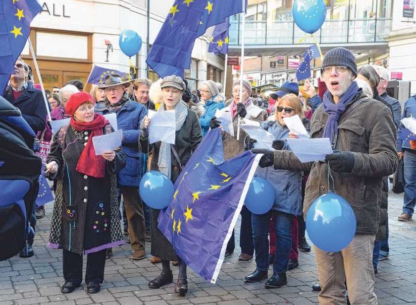 The pro-EU flash mob demonstration last month