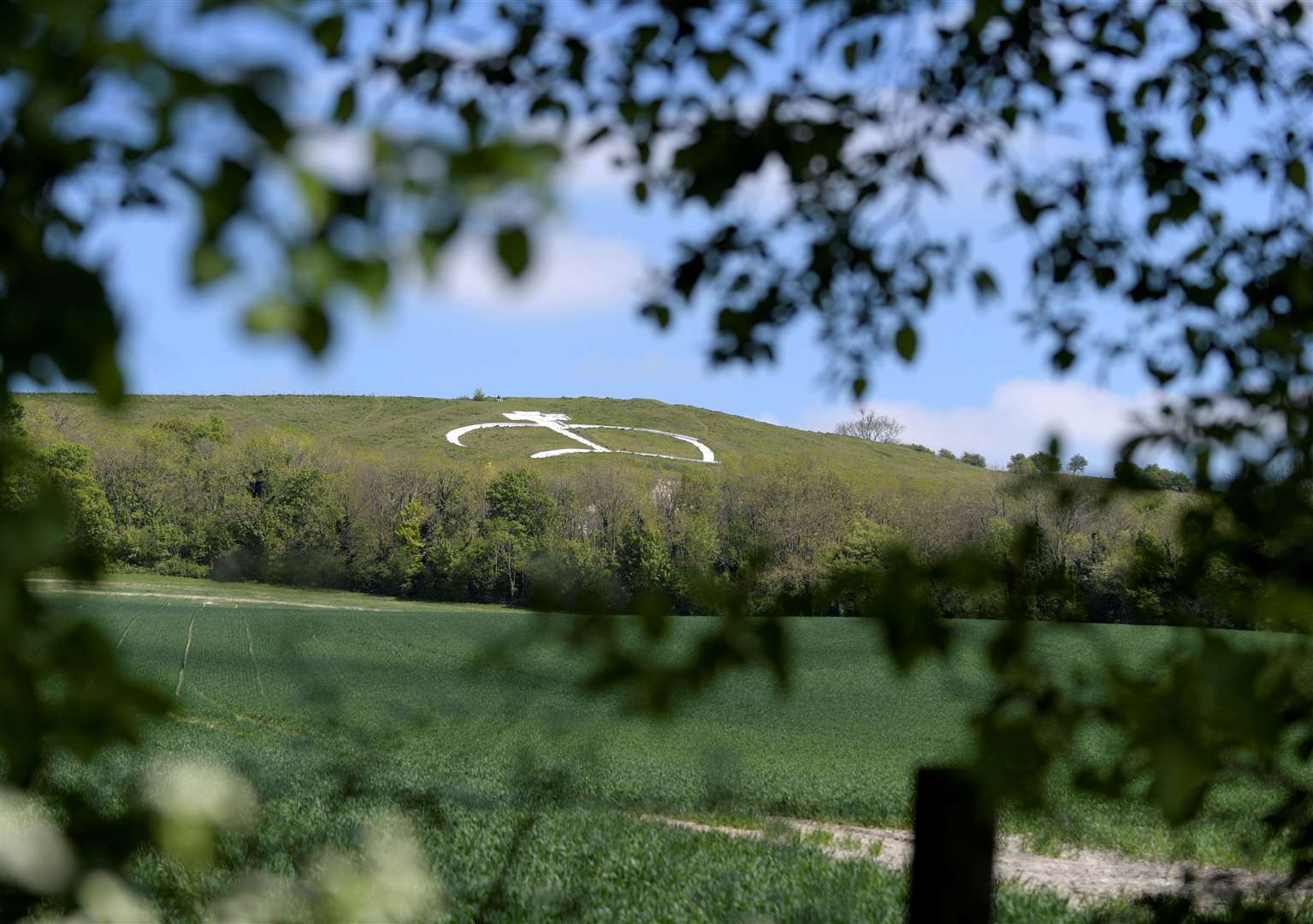 Wye Crown sits on the North Downs. Picture: Barry Goodwin