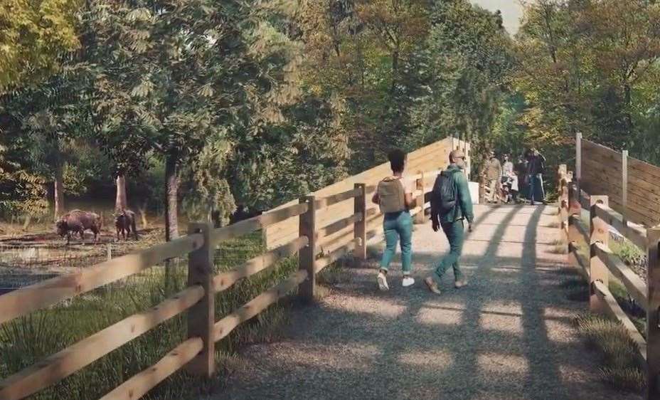 An artist impression of the bison bridges in Blean woods. Image: Russell Perry Studios