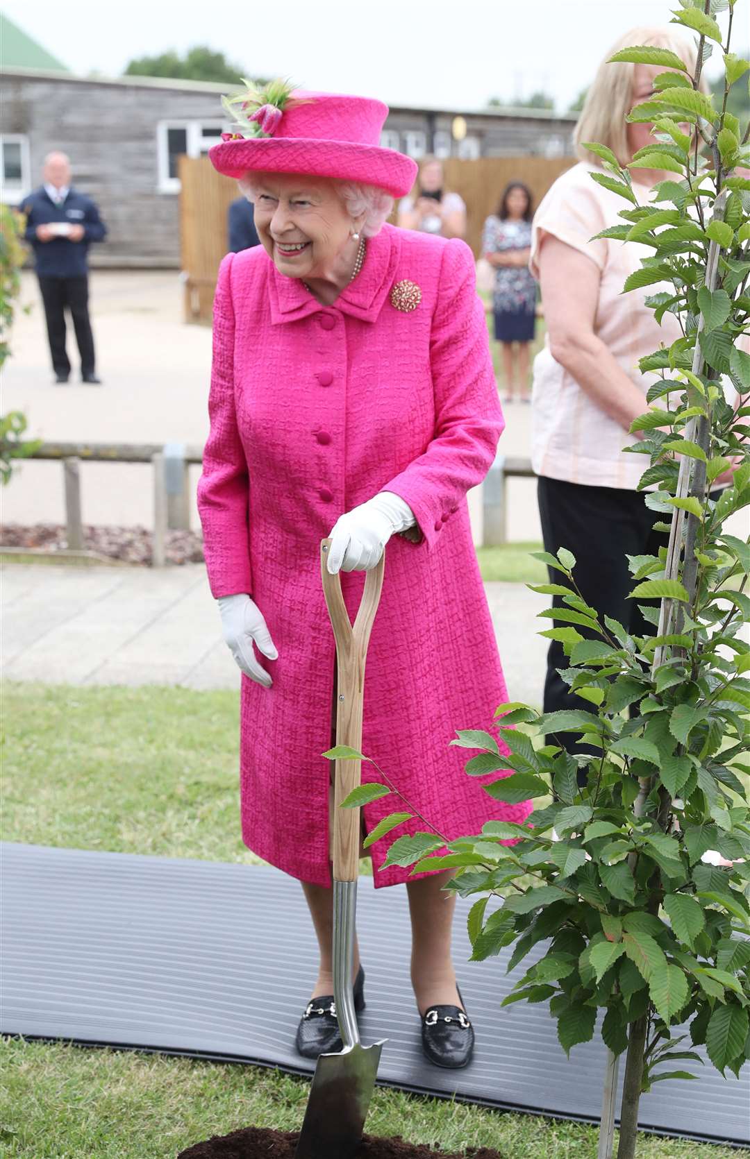 The public are being urged to celebrate trees at home and within their community as a special gift to the Queen (Chris Jackson/PA)