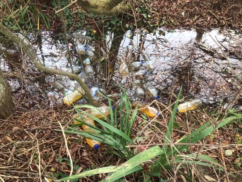 Around 30 bottles- or 60 litres- of pee were dumped in a roadside stream. Photo: David Knight