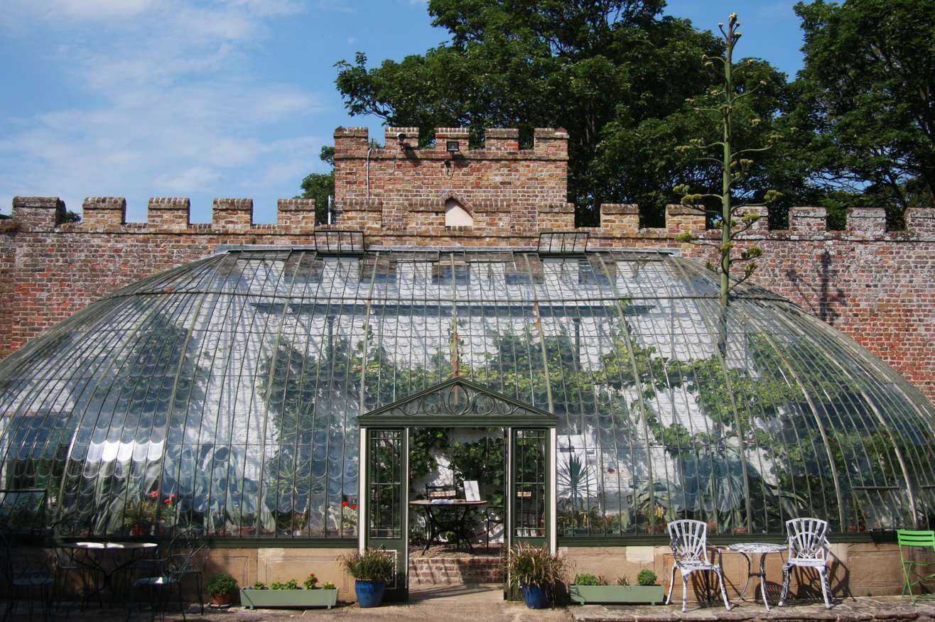 American Agave plant bursts through Italianate Greenhouse in King George VI Memorial Park