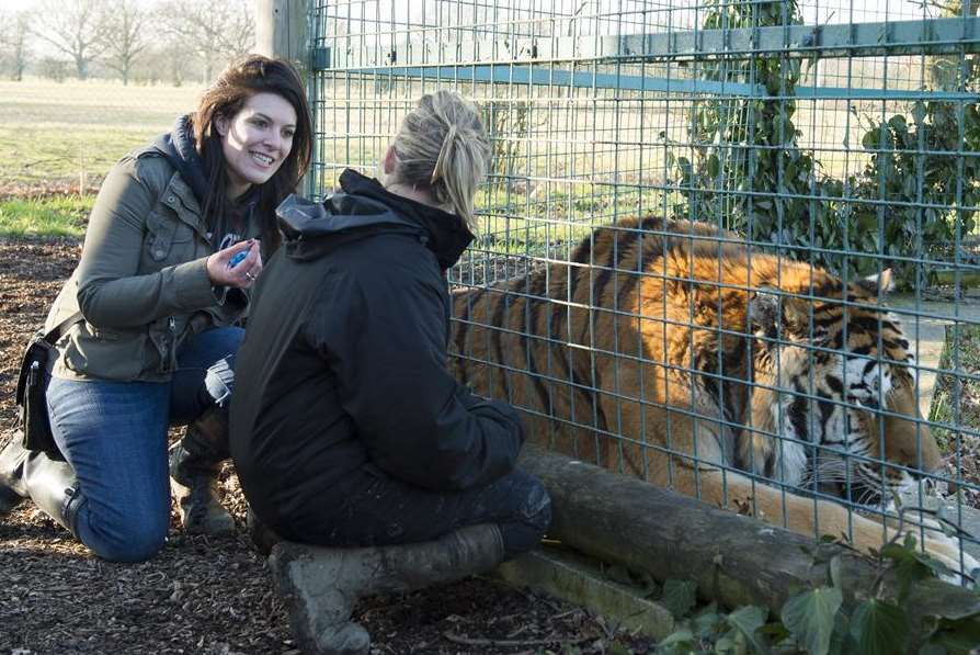 The Big Cat Sanctuary at Smarden