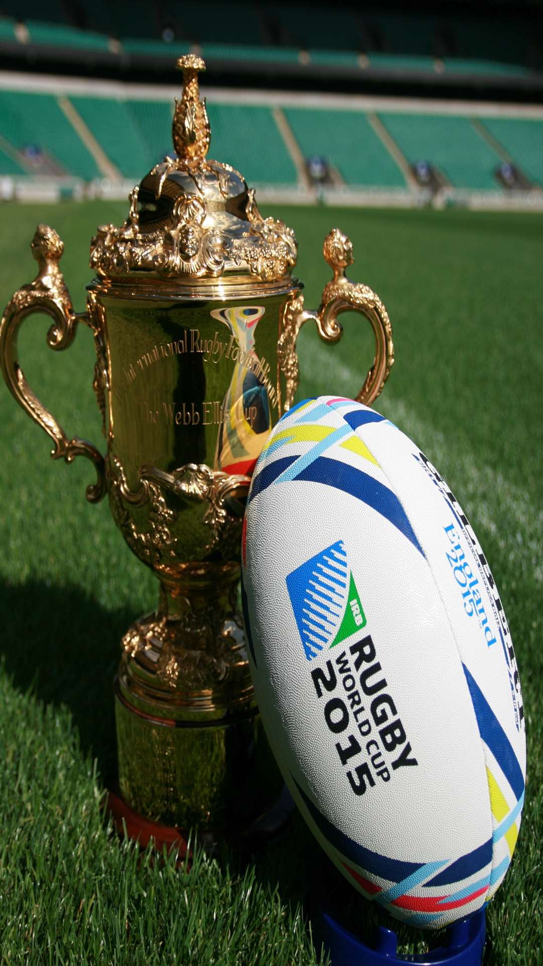 The Rugby World Cup