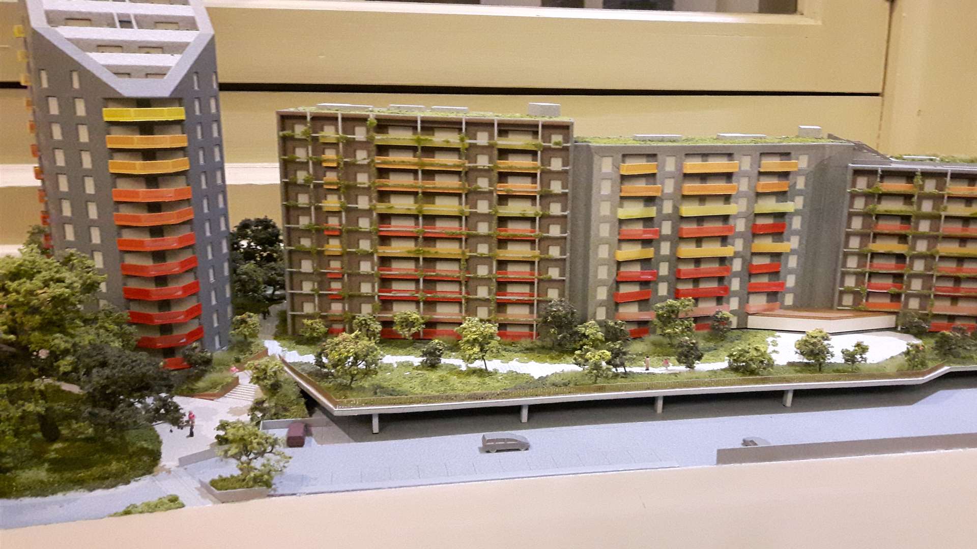 A model of the development