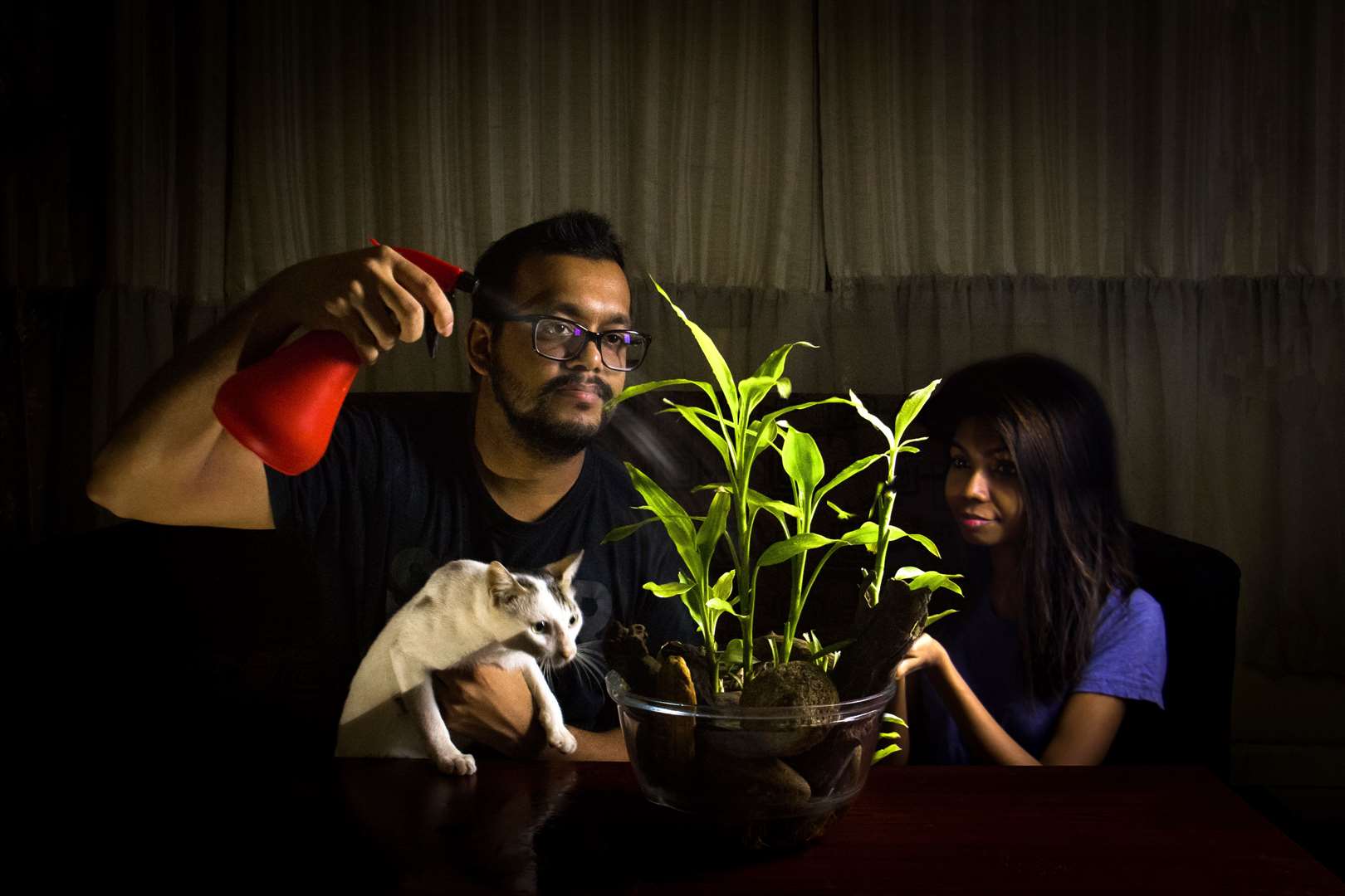 The winning image in the new indoor gardening category titled ‘time with terrarium’, taken in Colombo, Sri Lanka (Weerasinghe Tilan/RHS/PA)