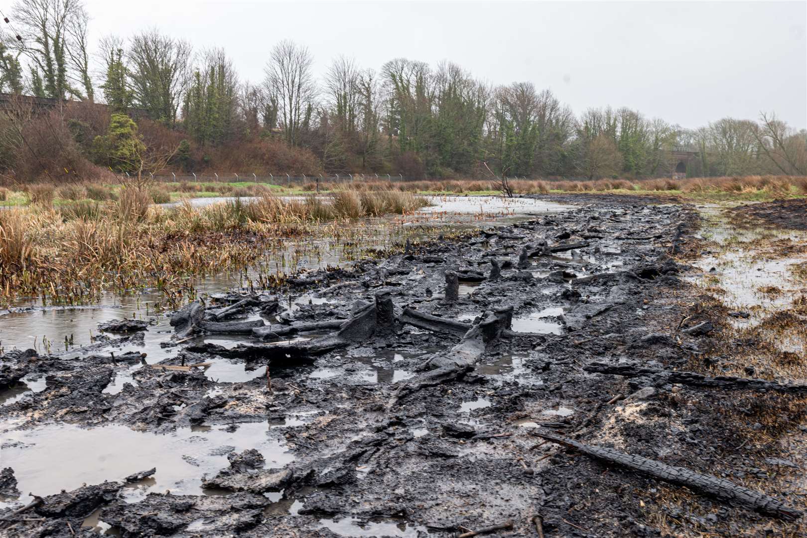 Charred remains of the boardwalk. Picture: Sian Pettman (29358749)