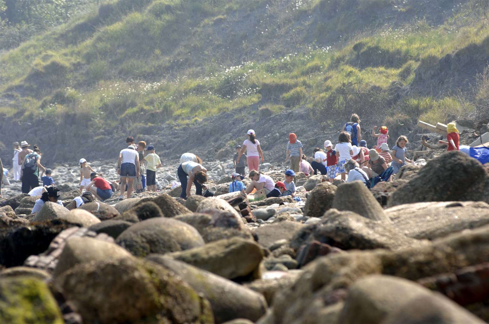 A fossil hunting expedition in Folkestone