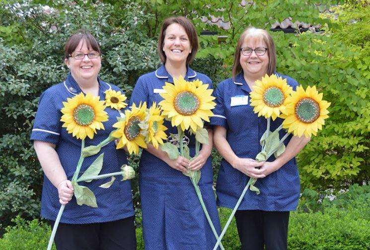 Specialist nurses Alison Wiltshire, Sarah Martins and Sarah Brown (2534141)