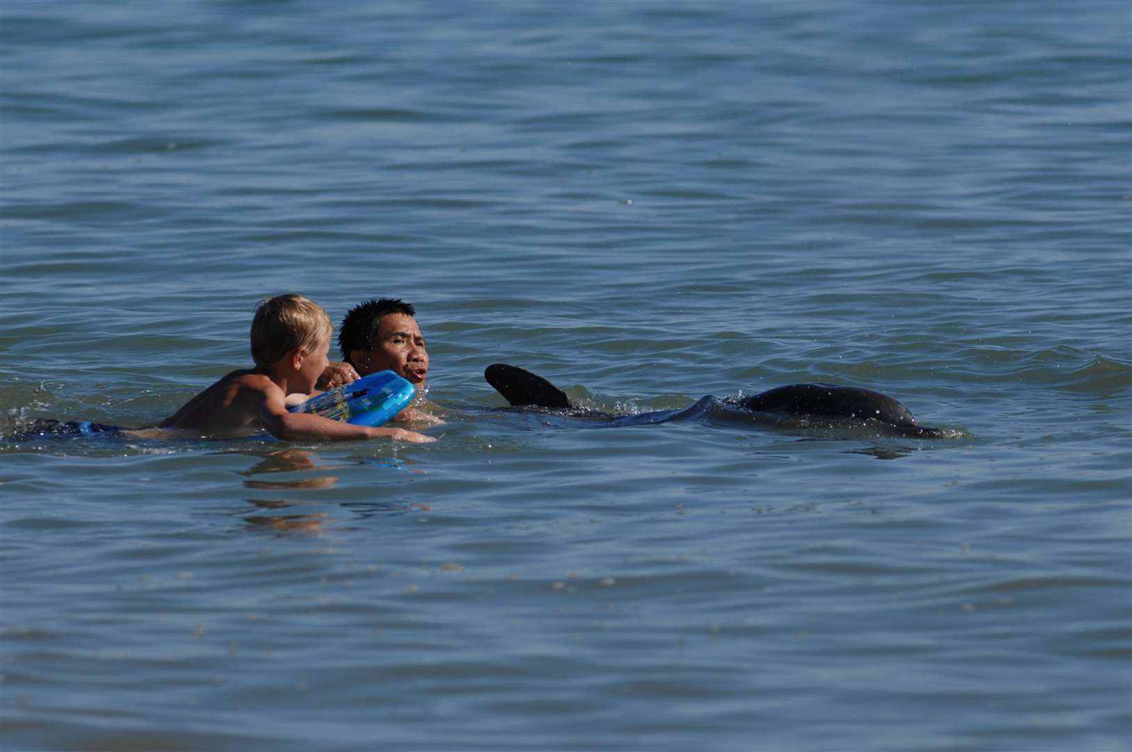 Some swimmers encounter Dave the Dolphin in 2007. Picture: Gary Browne