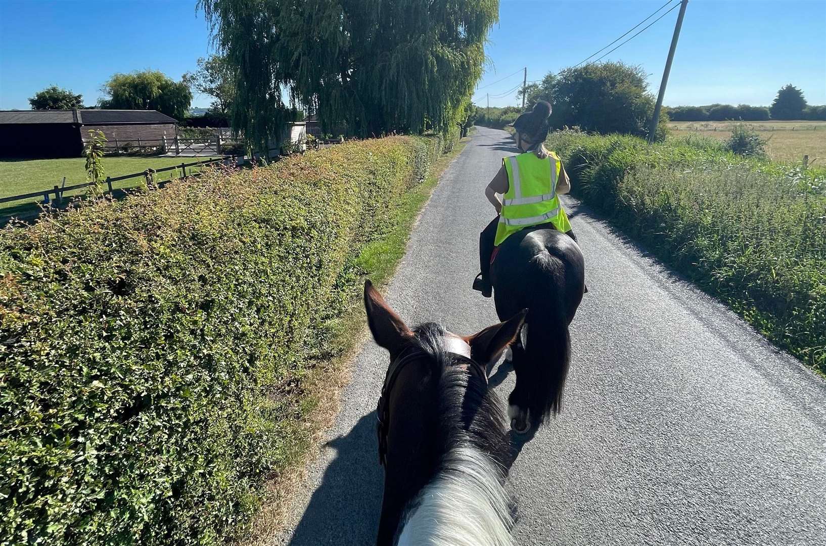 Natalie Miller took her horse Cali at 6am to beat the heat and the traffic but was met with speeding motorists