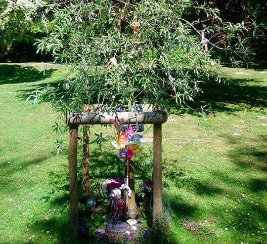 Rebecca’s memorial tree at Bushy Ruff Country Park. Picture: Lyn Richardson