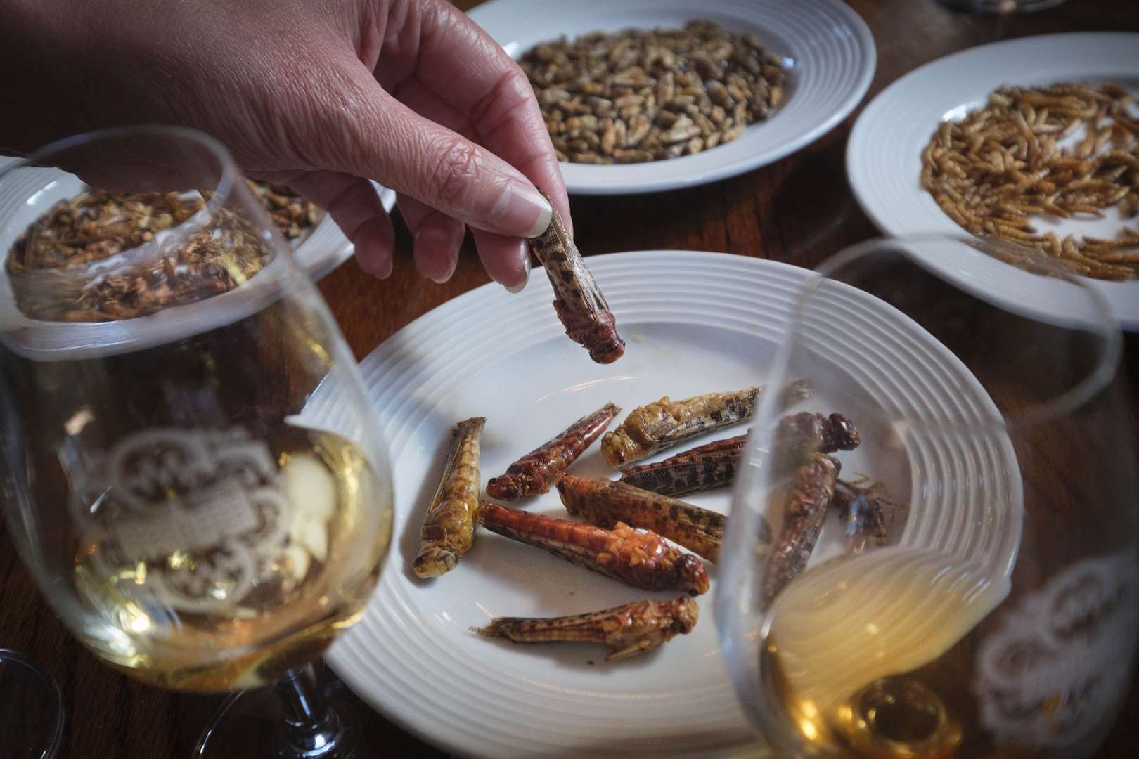 The event saw insects paired with different whiskies (Scotch Malt Whisky Society/PA)