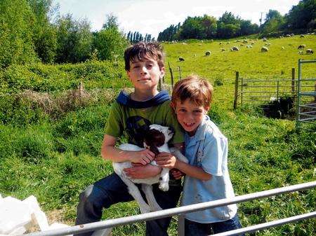 Pet a lamb at Mount Ephraim