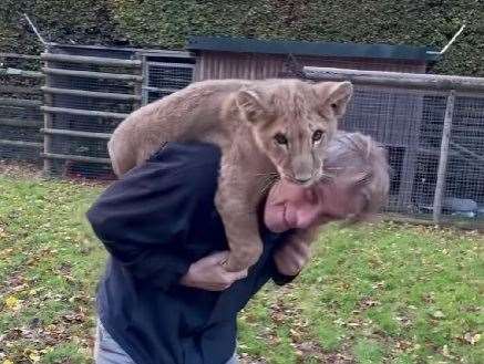 Damian Aspinall and one of the lions he has hand-reared at Howletts in Canterbury. Picture: Damian Aspinall on Instagram