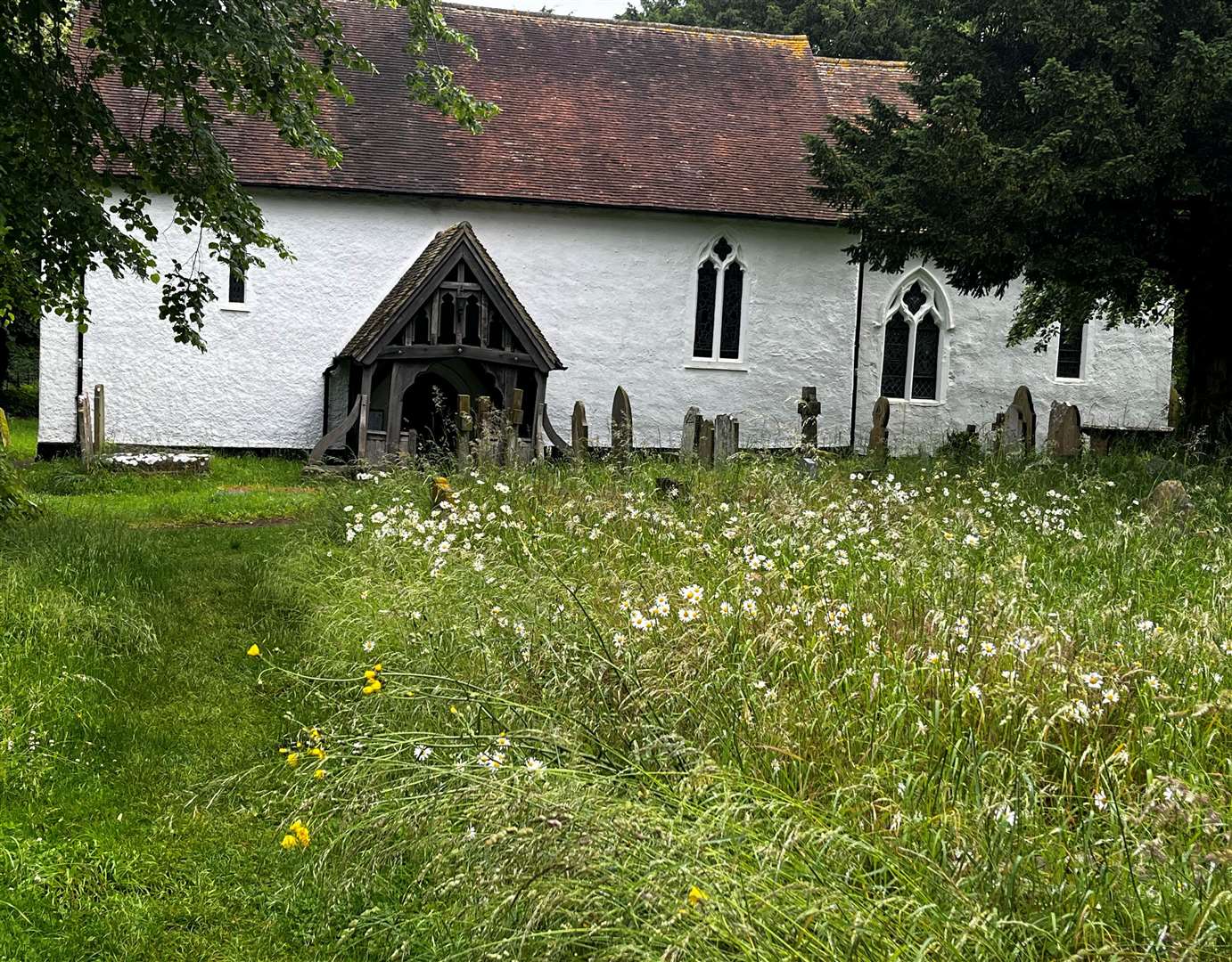 The graves are barely visible above the three-foot high grass at St Mary's Church in Fawkham