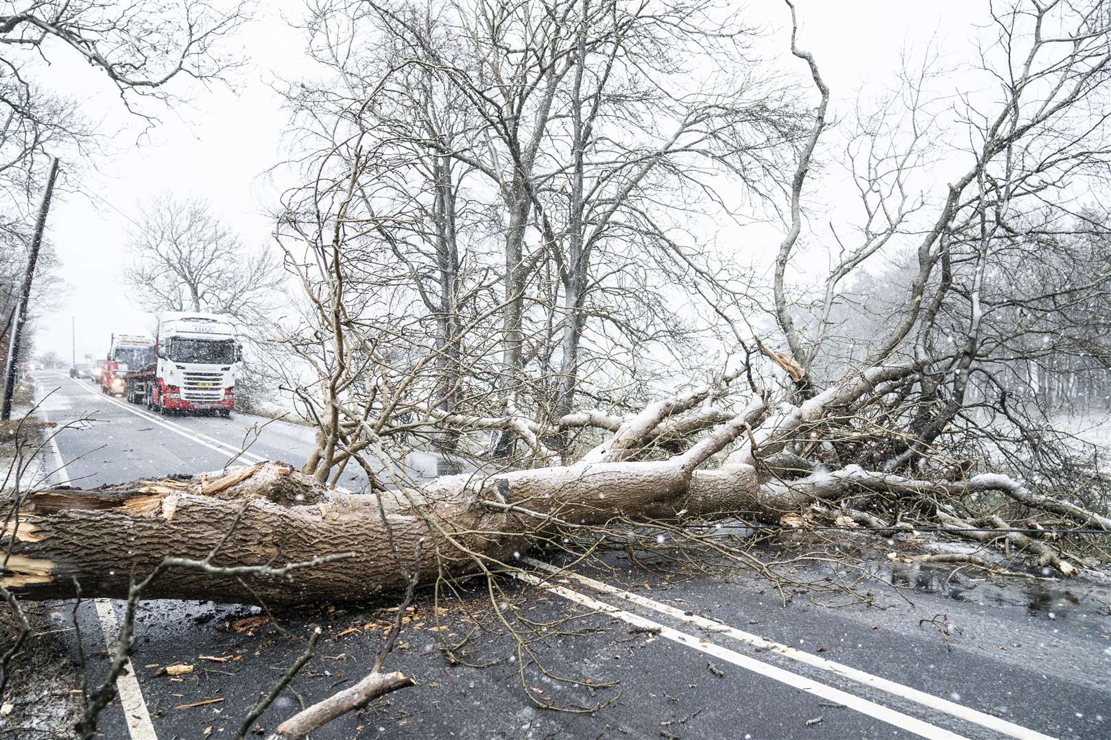 A fallen tree blocks the A702 near Coulter in South Lanarkshire as Storm Barra hits the UK (Jane Barlow/PA)